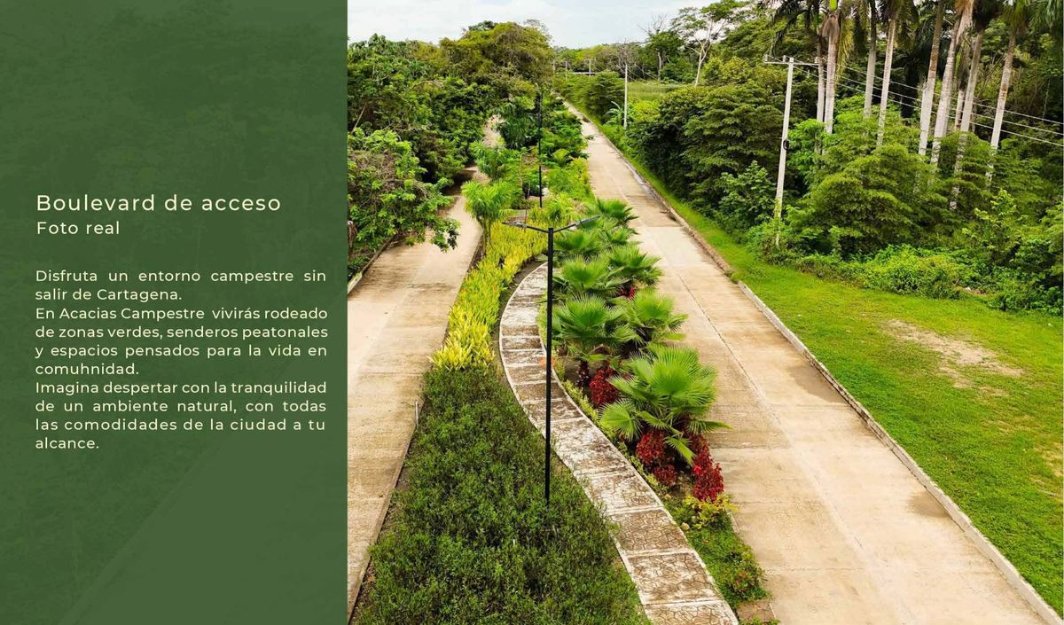 Acacias Campestre — brochure oficial, página 8 de 29