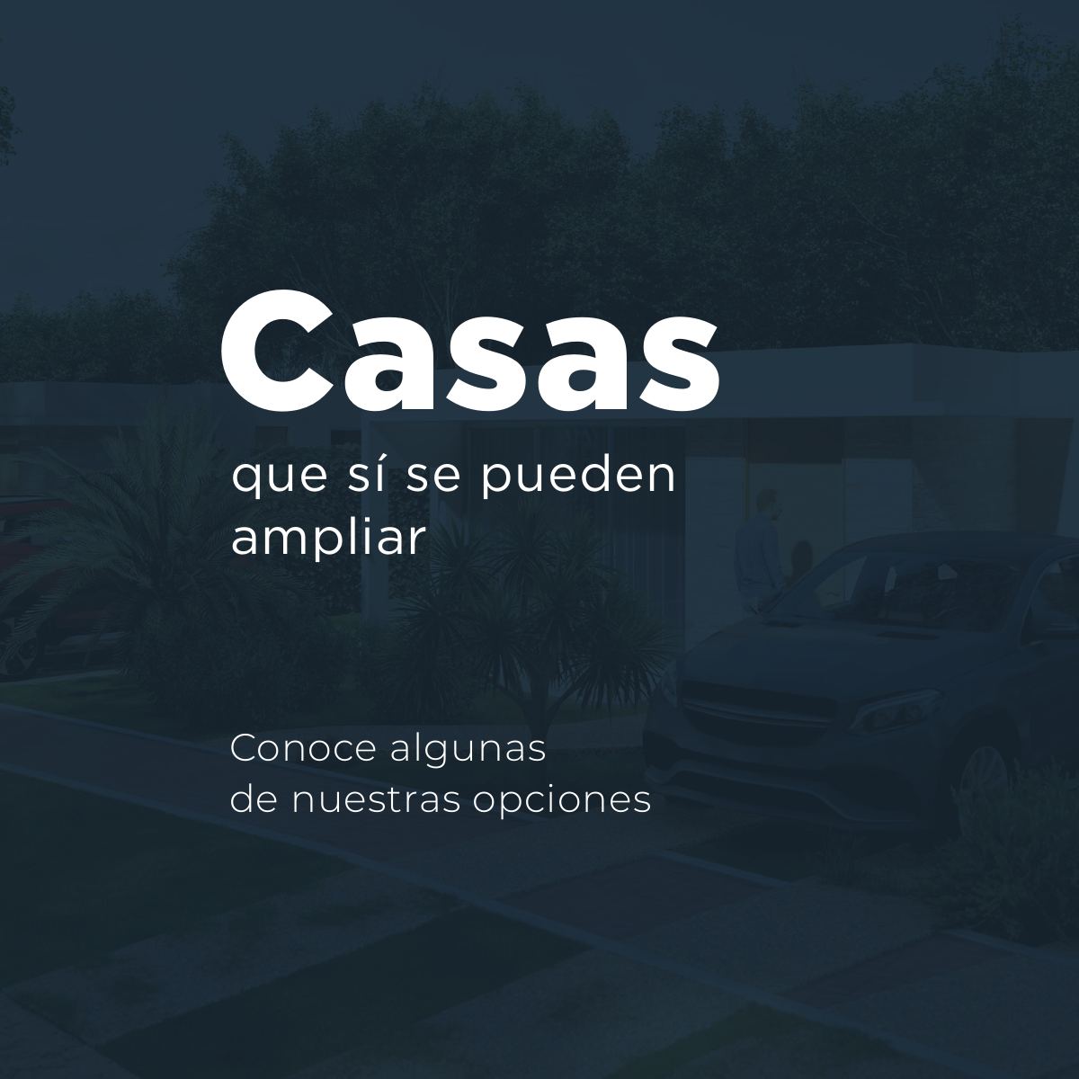 Blue Garden Condominio — brochure oficial, página 21 de 24